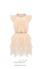 Crystal Embellished Ruffle mini Dress in pale pink