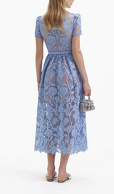 BLUE LILY LACE MIDI DRESS