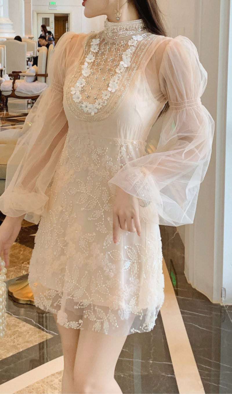 APRICOT MESH LANTERN SLEEVE BEADING DRESS