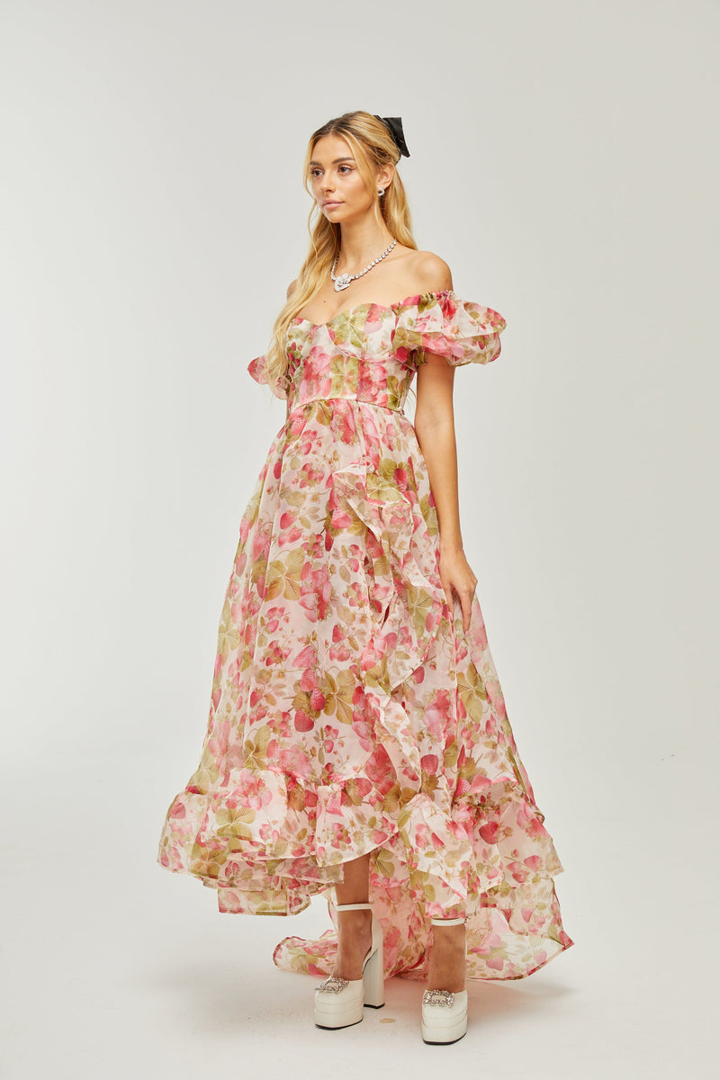 FRUIT-PRINT RUFFLED MAXI DRESS IN PINK