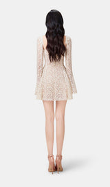 Beige Lace Mini Dress