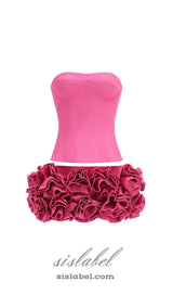 CLEGG PINK CORSET FLOWER TWO-PIECE SET