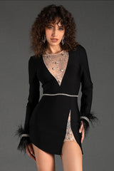 GAROTIS LONG SLEEVE CRYSTAL FEATHER DRESS