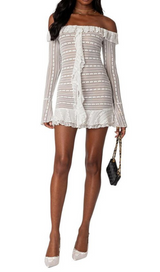 TEXTURED SHEER LACE MINI DRESS