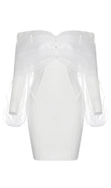 ONE-LINE SHOULDER-TOP TULLE DRESS IN WHITE