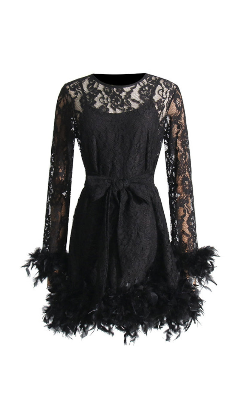 ROBE EN DENTELLE AVEC PLUME