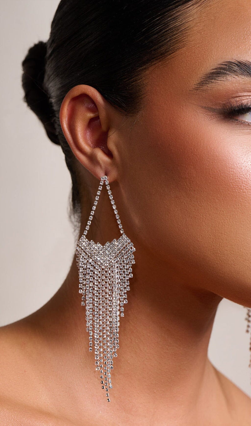 SILVER STATEMENT TEARDROP TASSEL EARRINGS